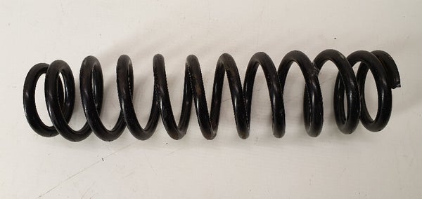 Deep Black Spring (LYNX Rave RS 600 2015) 505073537