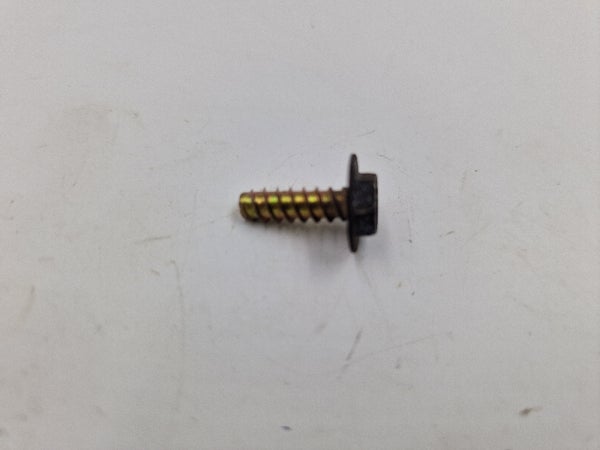 Hex. Plastic Screw M4.8 X 16 (LYNX 59 YETI 2005) 243141630 243141640