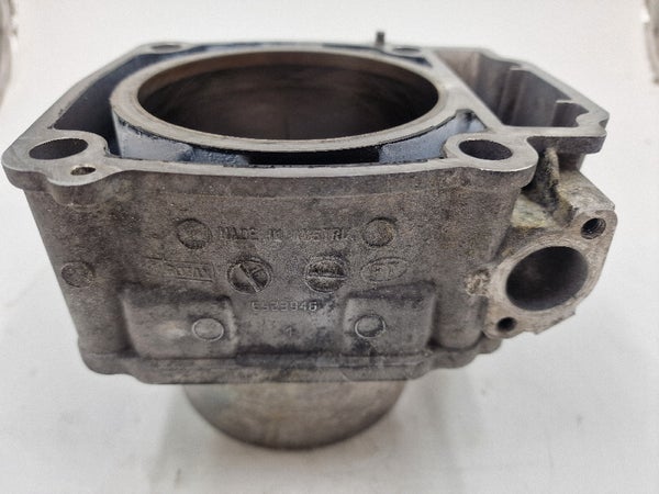Cylinder AssY (LYNX 59 YETI 2005) 420923948
